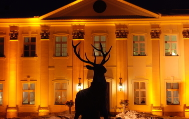 Pałac Trzebosz